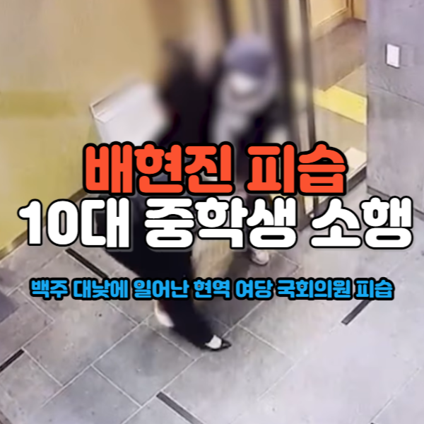 배현진피습
