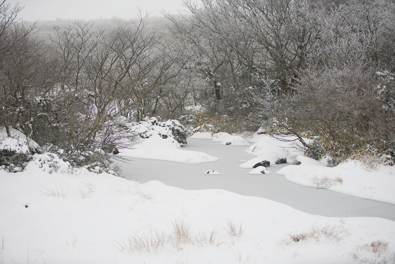 가평 청평 북한강 대성리 송어축제