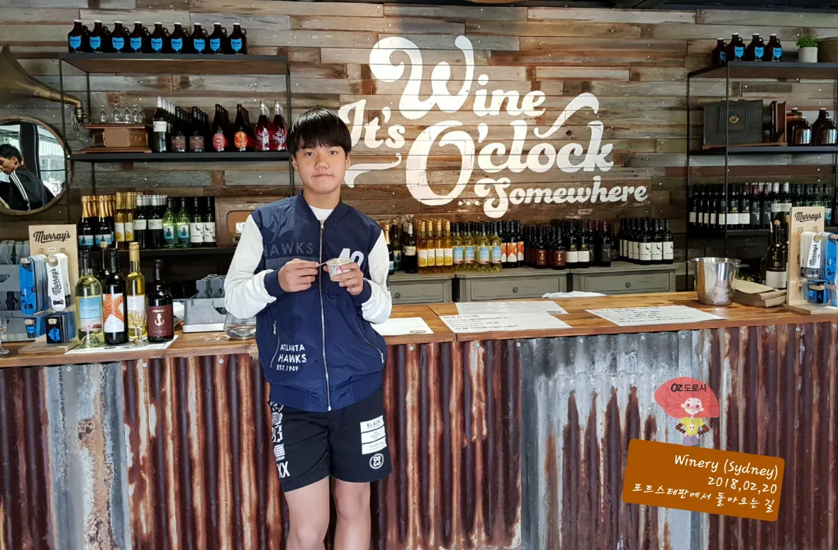 호주-시드니-근교여행-와이너리-방문