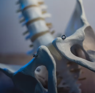 칼슘 하루 권장량 성인 1일 섭취방법