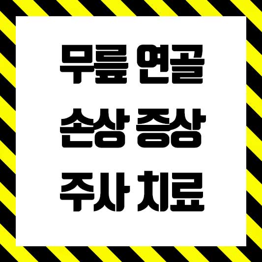 무릎 연골
