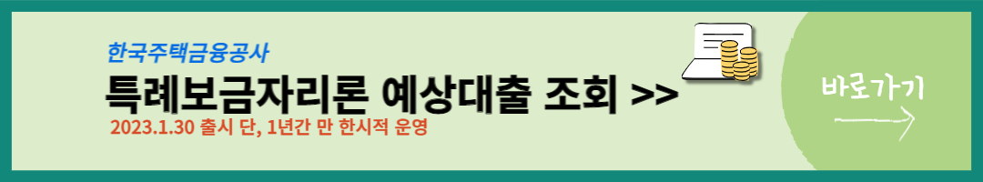 특례보금자리론 (14)