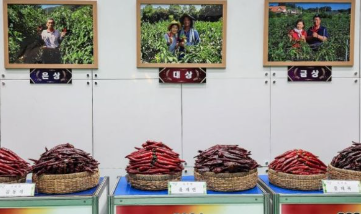 2025 괴산고추축제&amp;#44;매운맛 체험