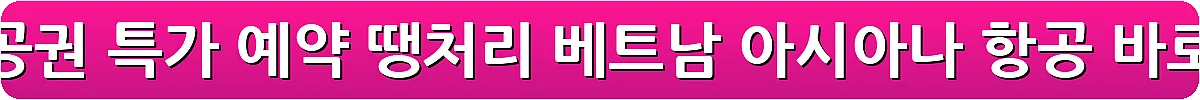 다낭 항공권 특가 예약 땡처리 베트남 아시아나 항공_6