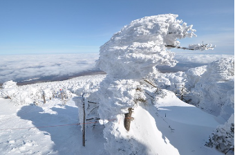 한라산 백록샘 개방! 관람 방법&middot;예약 꿀팁 총정리