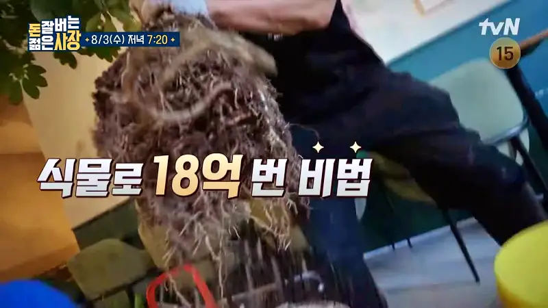 돈 잘버는 젊은사장 식물 인테리어로 부자가 되다 '억' 소리 나는 플랜테리어 조경설계 실내조경 식집사 서장훈 주우재 추천 소개