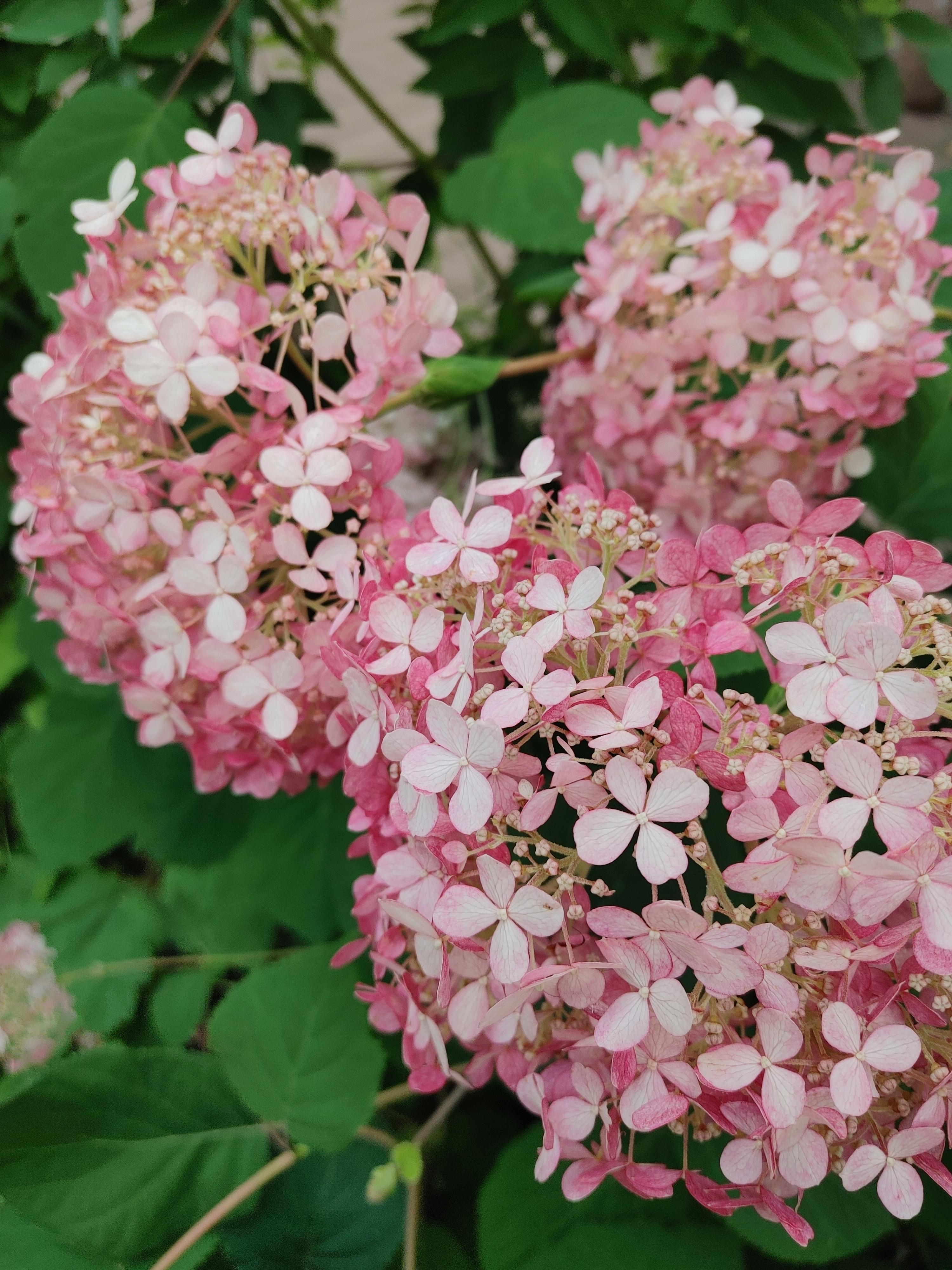 화담숲 예약방법 총정리!