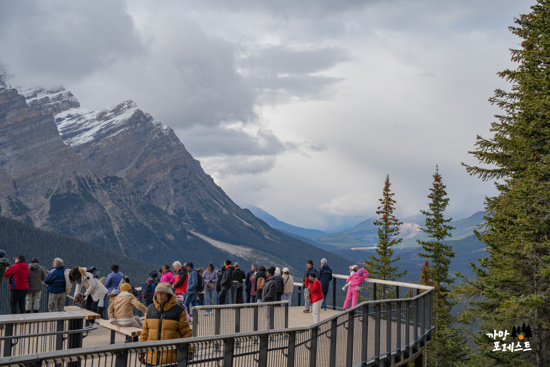 캐나다 페이토 레이크 전망 포인트