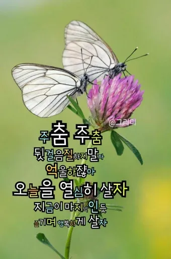 아침 인사 문자 날씨 변화에 맞춘 안부 문장 하루를 여는 표현_9