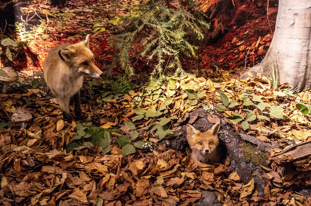 11월인사말모음문구