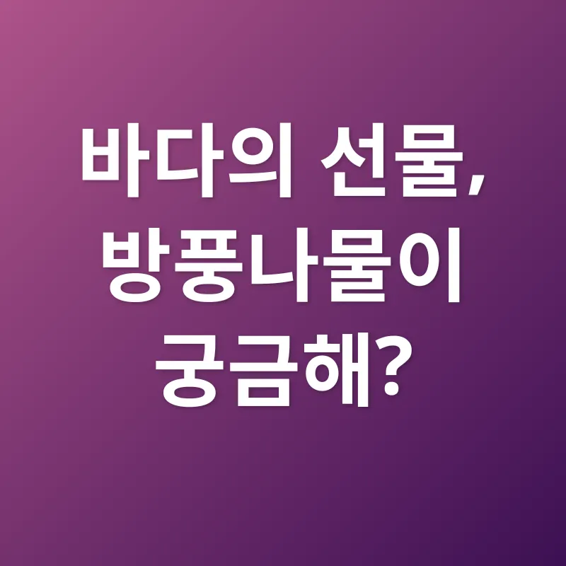 방풍나물 효능_1