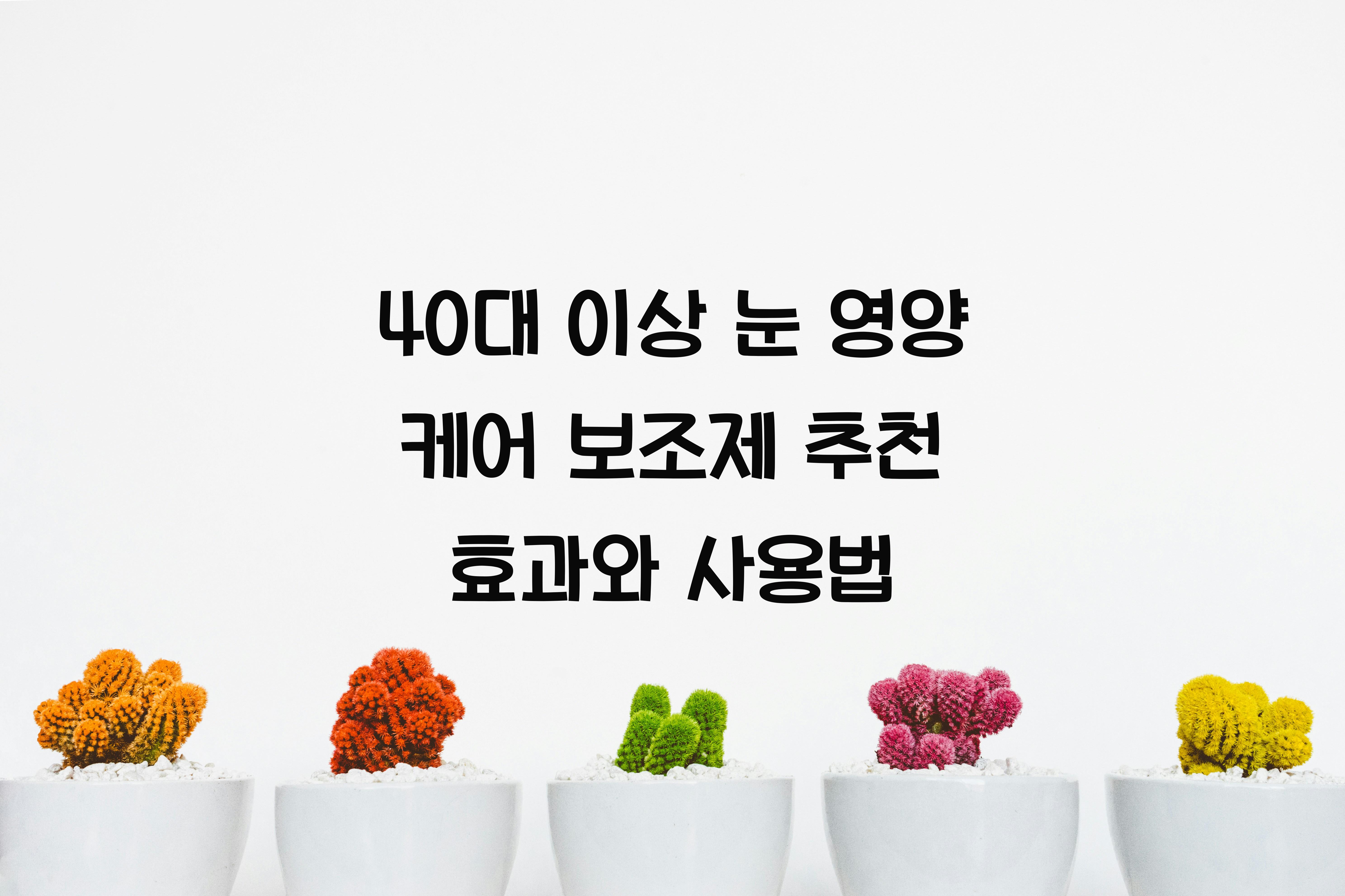40대 이상 눈 영양 케어 보조제