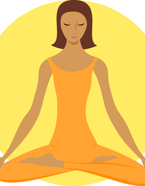 콤부차 효능 정서안정