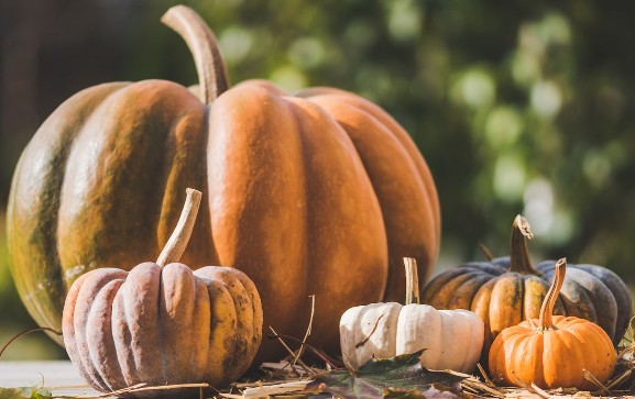 [폐암예방] 폐에 좋은 음식 늙은호박 효능 고르는법