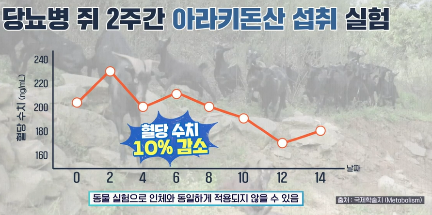 흑염소 효능