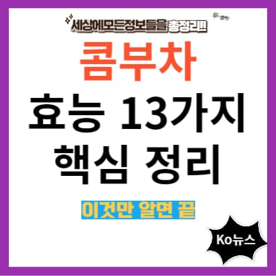 콤부차-효능-13가지-핵심정리