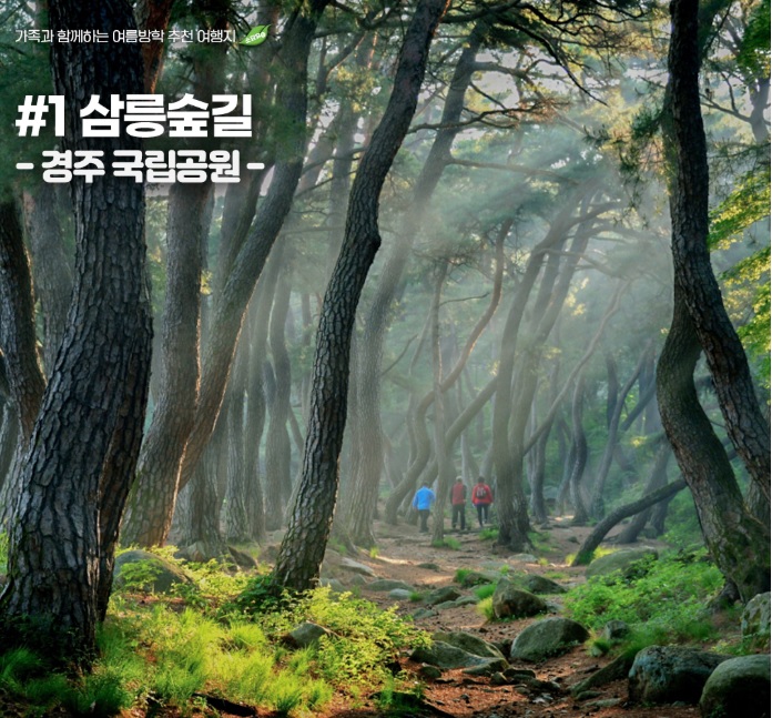 경주 삼릉숲길
