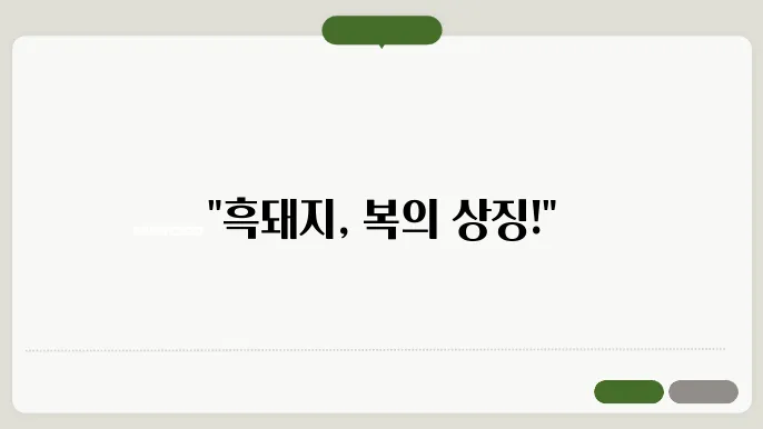 흑돼지의 다양한 모습