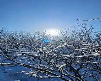 선자령 실시간 cctv&amp;#44; 날씨_25