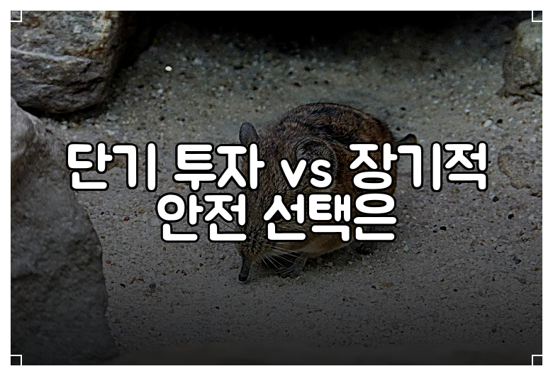 단기 투자 vs 장기적 안전 선택은