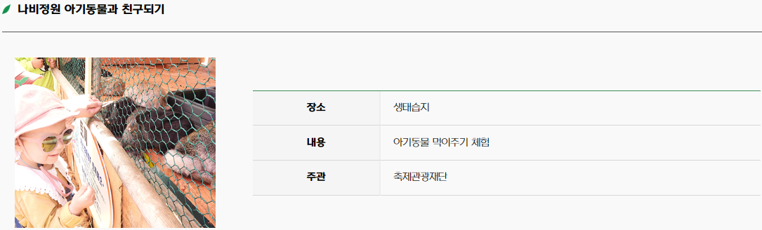 함평 나비 축제20