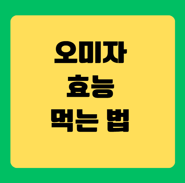 오미자의 놀라운 효능과 올바른 섭취 방법