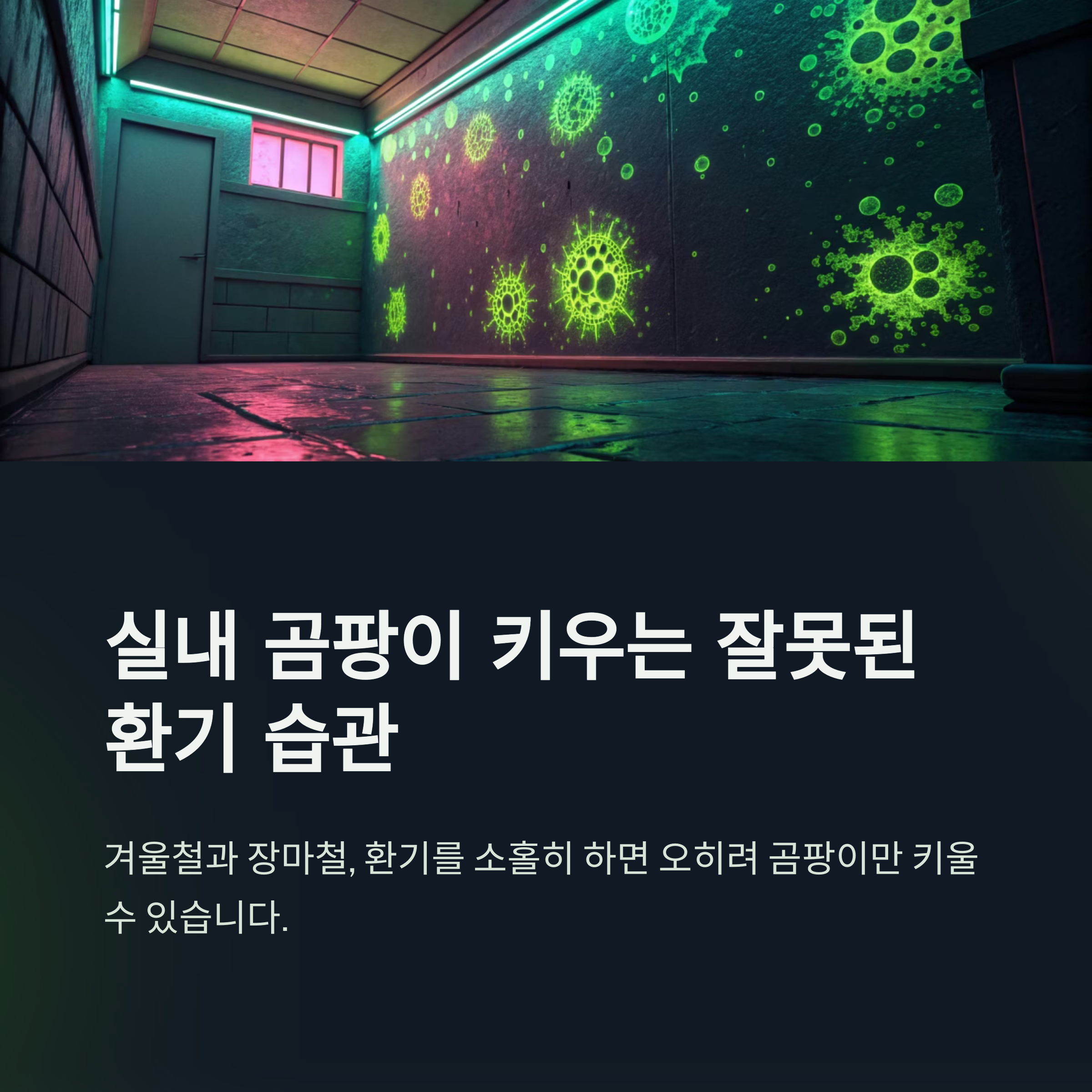 실내 곰팡이