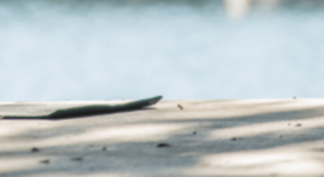 고지혈증증상케어명상