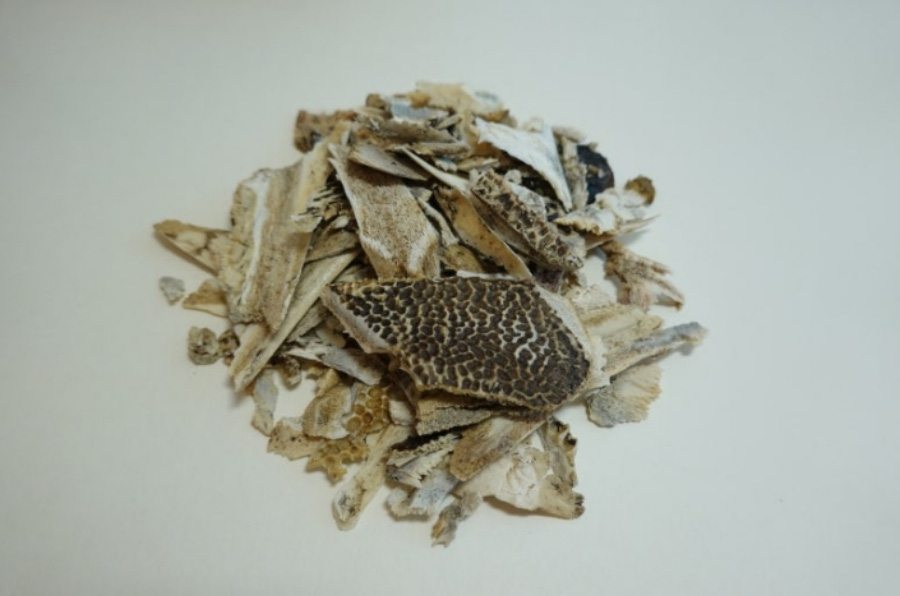 야생에서 채취를 한 자라의 등껍질인 별갑을 깨끗하게 세척한 후에 조각을 낸 것을 하얀 바닥 위에 수북하게 놓아두고 찍은 사진