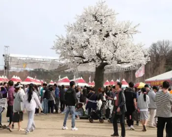 논산딸기축제_17