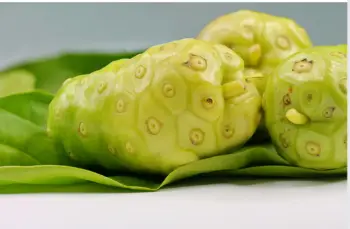 노니 효능 및 영양성분, 부작용과 주의점