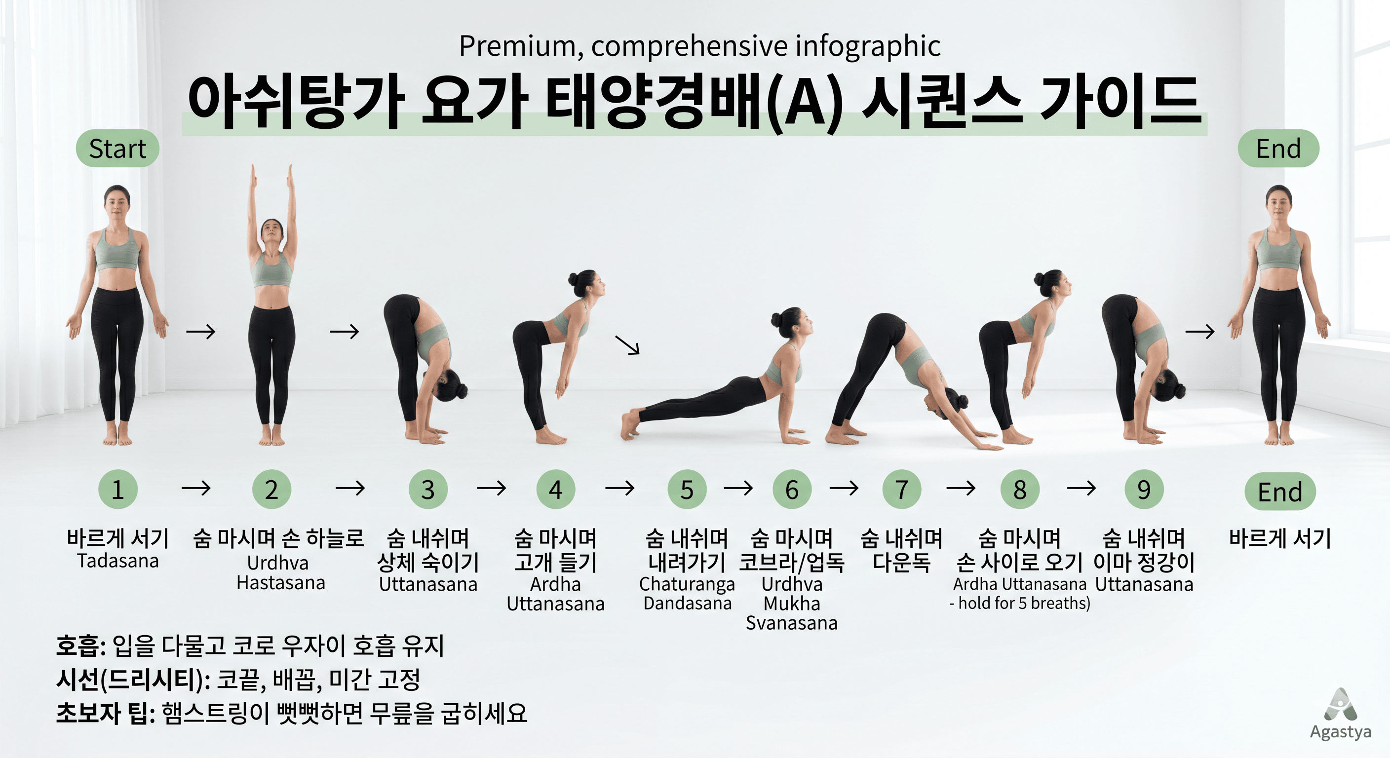 아쉬탕가 요가 태양경배자세 효과와 순서 초보자 가이드