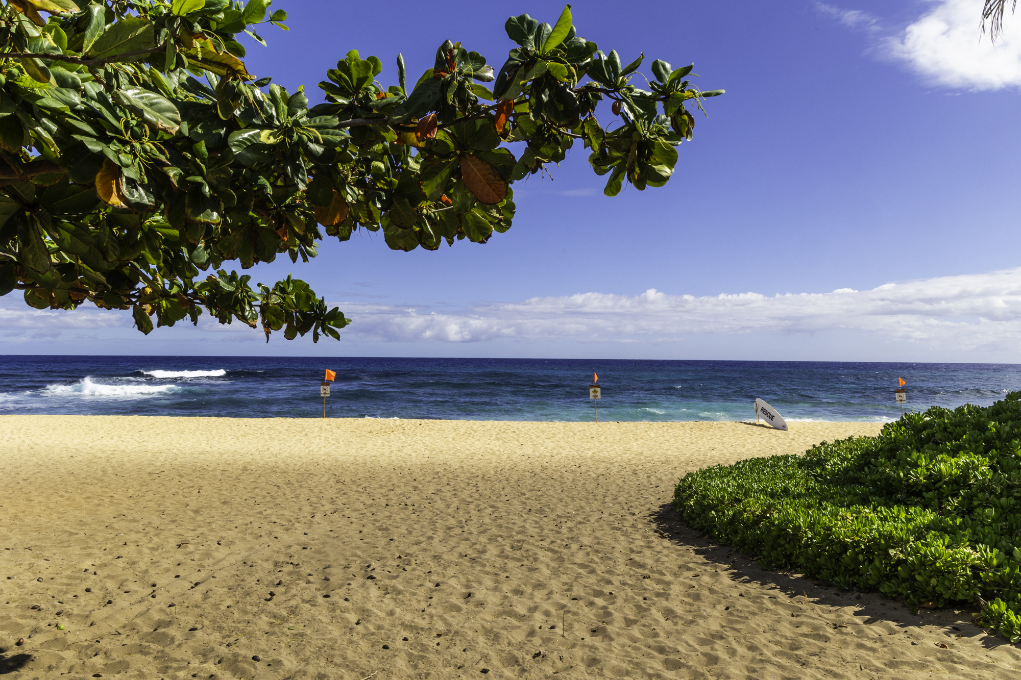 하와이 샌디비치