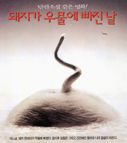 영화 돼지가 우물에 빠진 날 포스터