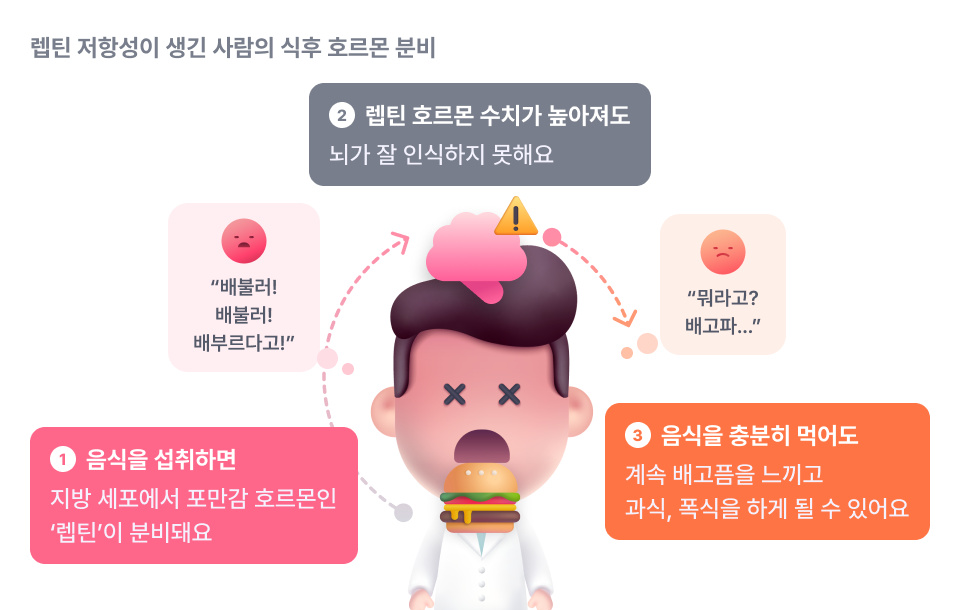 다이어트 보조제 추천