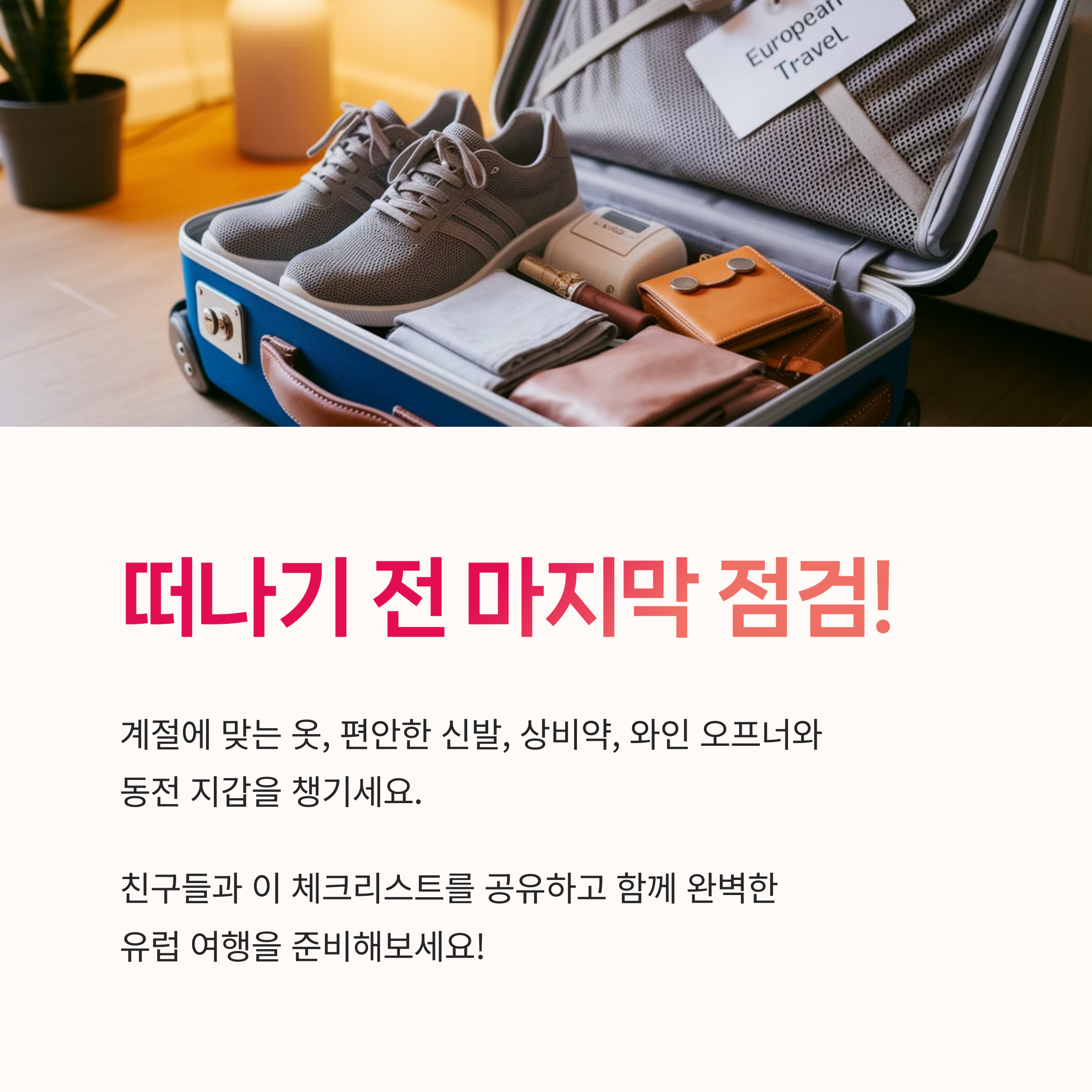 입국서류체크