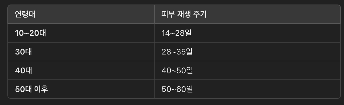피부 세포 재생 주기 (Skin Cell Renewal Cycle)