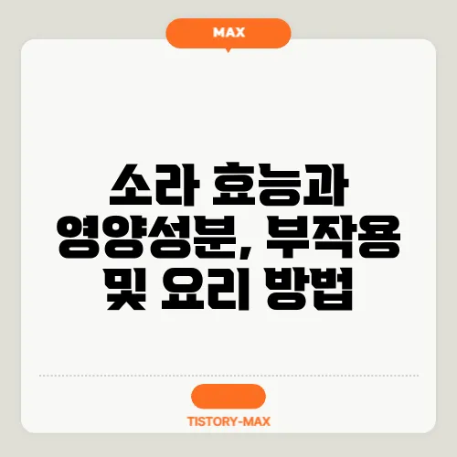 소라 효능과 영양성분, 부작용 및 요리 방법