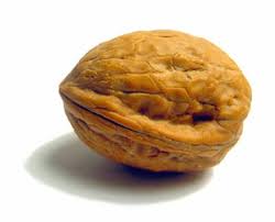 간에 좋은 음식 10가지