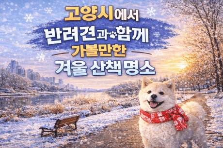 고양시 반려견 겨울 나들이 명소, 강아지와 함께 걷기 좋은 산책 코스