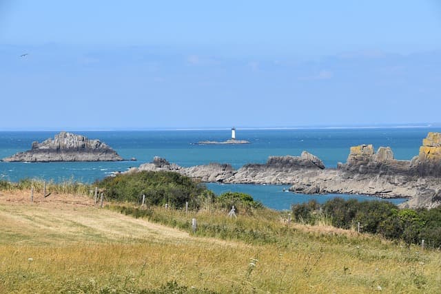 해수욕장 개장일