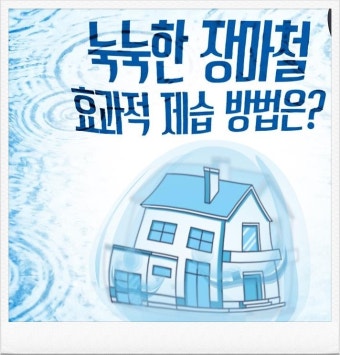 장마철 제습기 구매 전&amp;#44; 체크리스트 