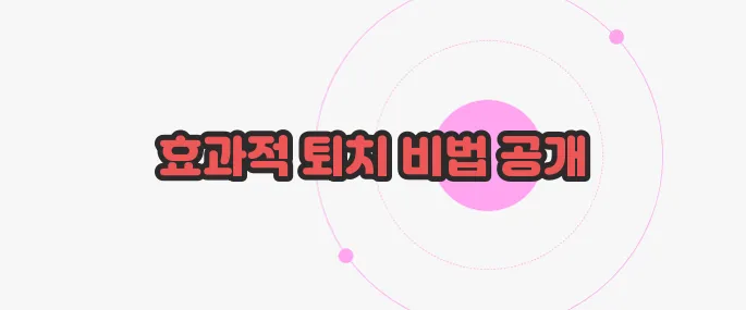 바퀴벌레 퇴치방법 이제 본격적으로 알아볼까요