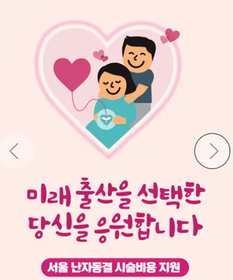 서울 난자동결 시술 비용 지원 대상