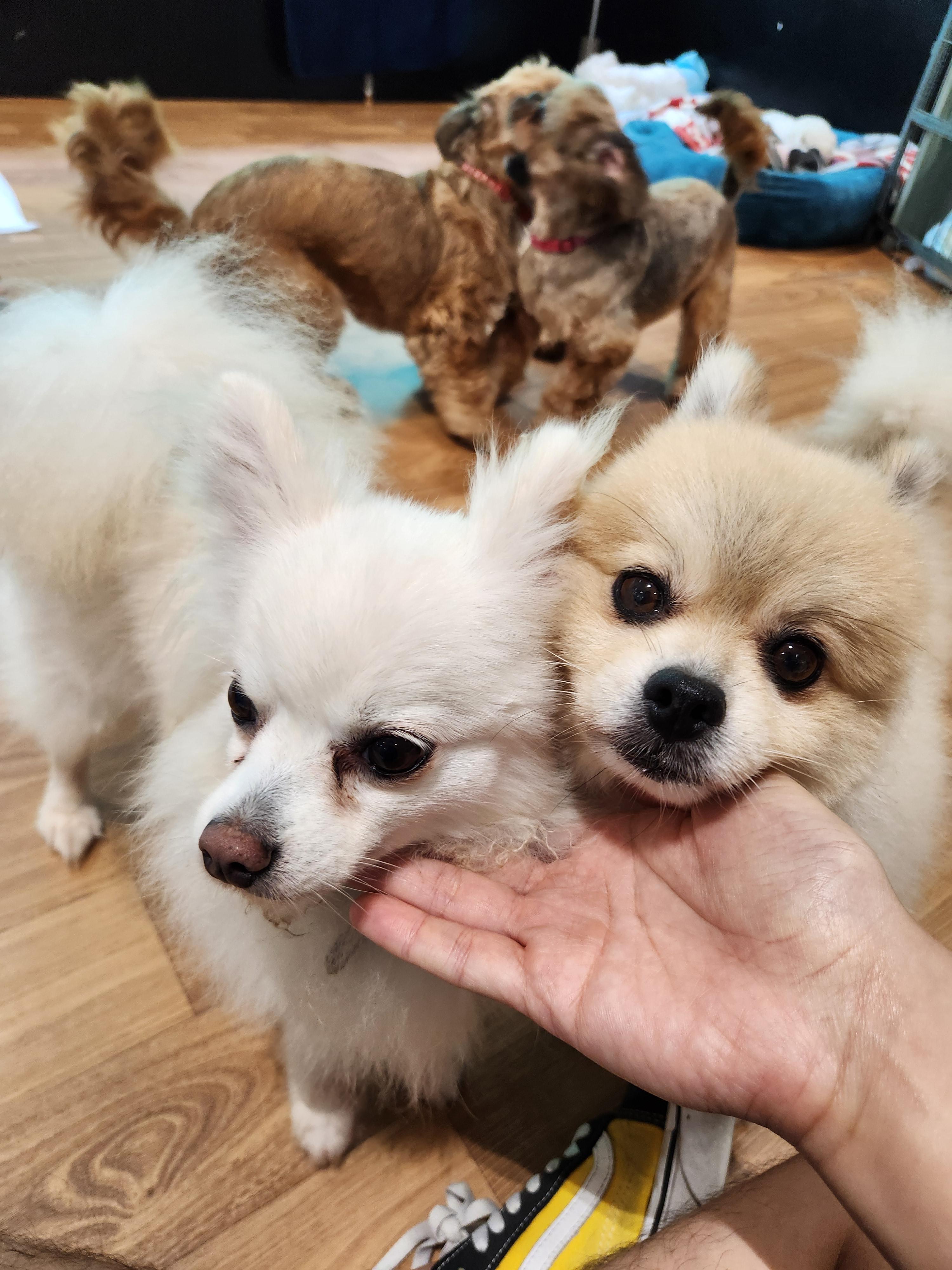 창업가는 거절에 익숙해져야 한다.