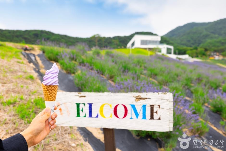 정읍 가볼만한곳