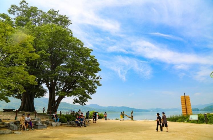 경기도 봄꽃구경