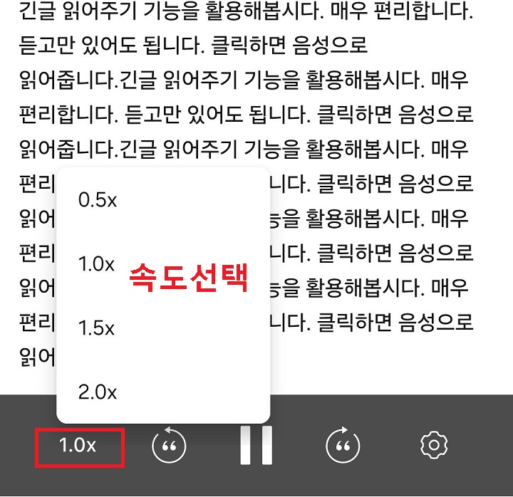 속도 선택창 보임