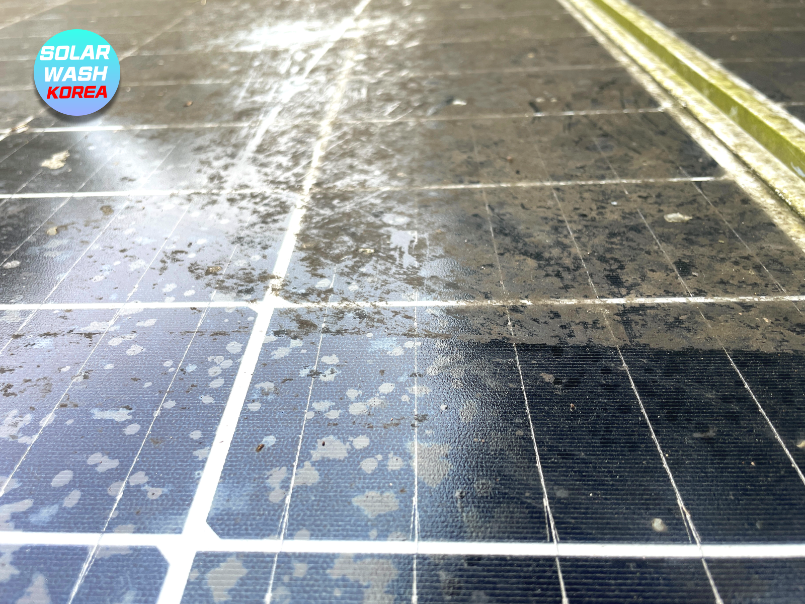 오염된 태양광 패널 표면