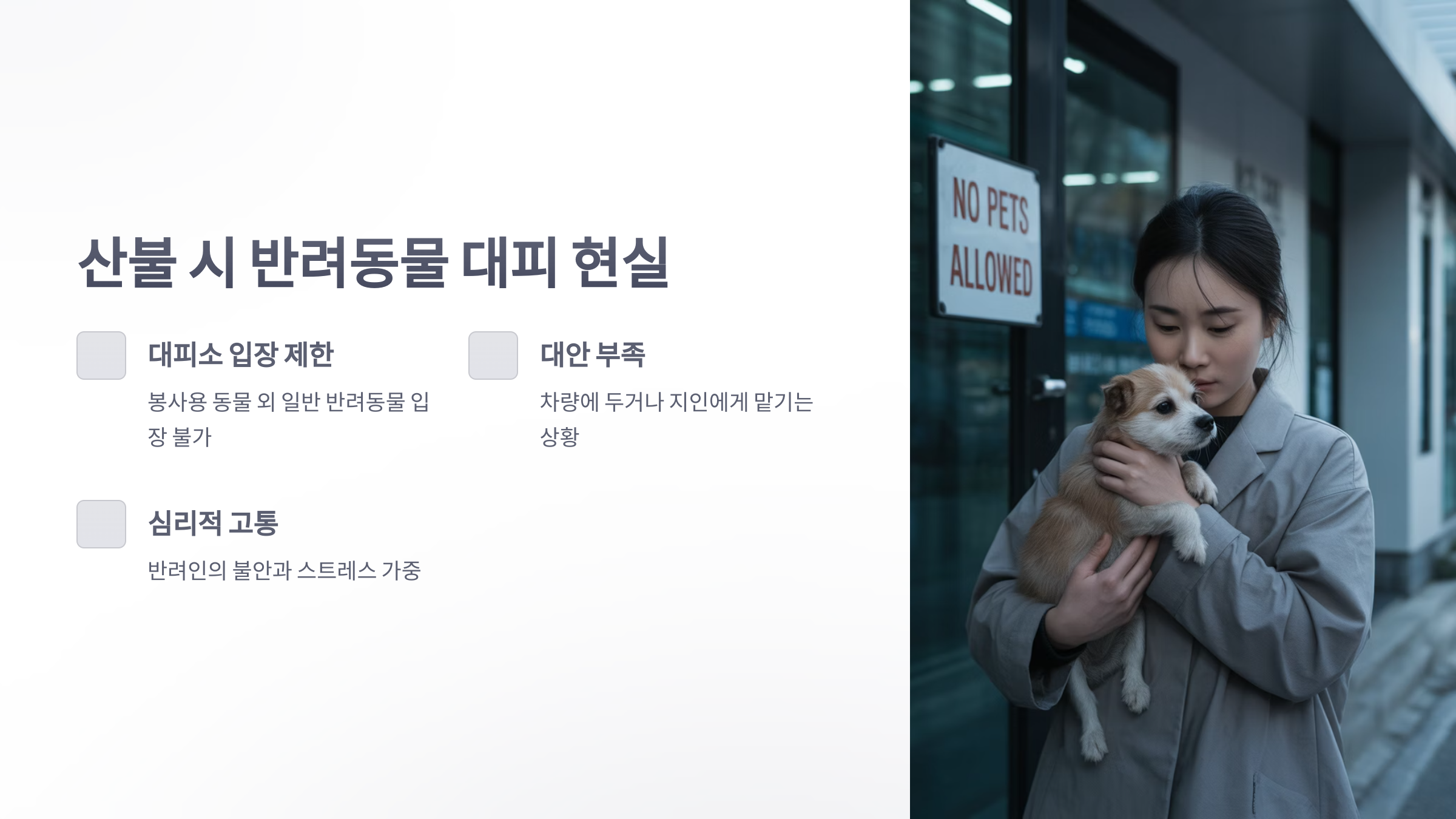 참조-반려동물-산불피해-2